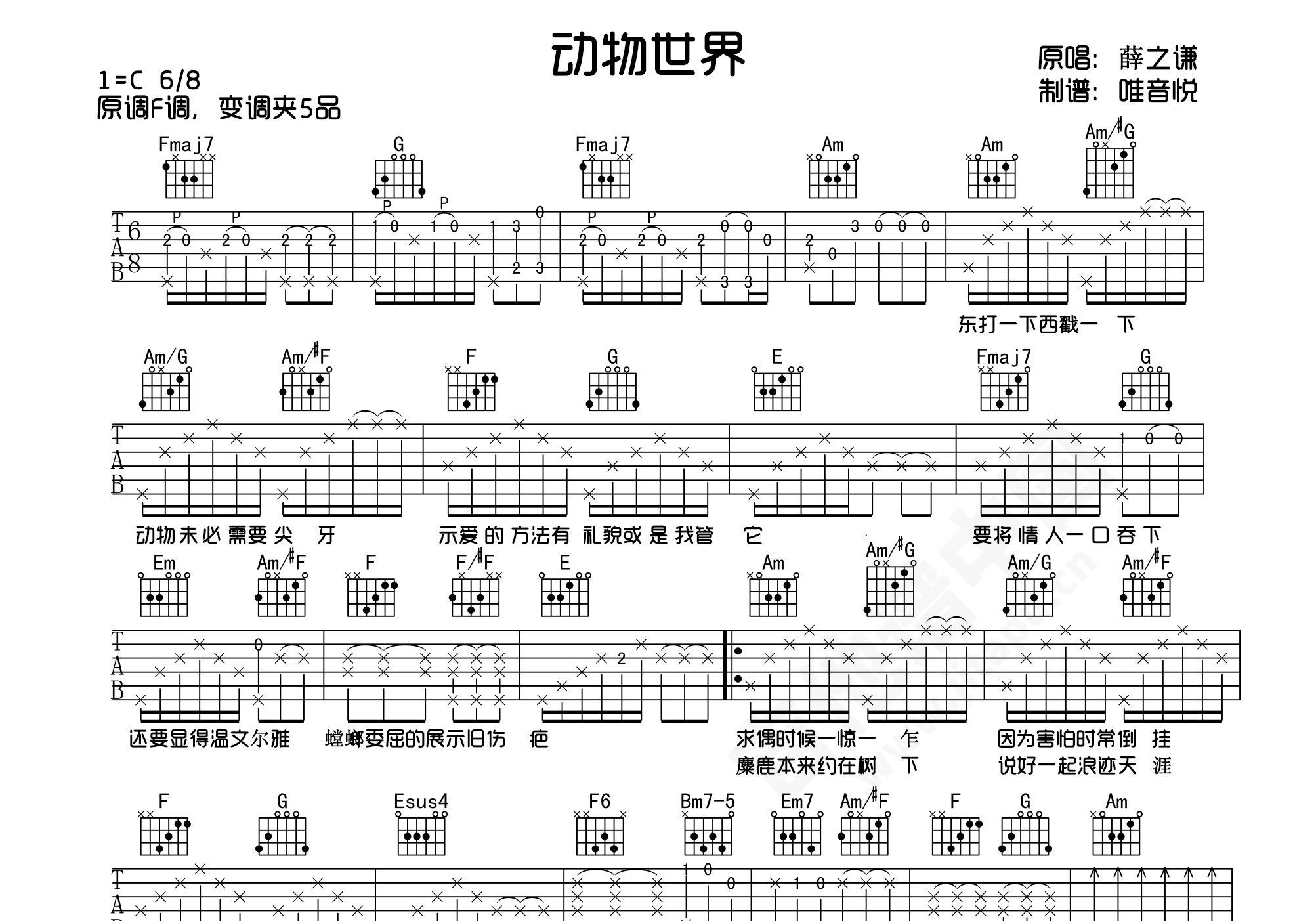 动物世界吉他谱 薛之谦 进阶C调弹唱谱-吉他谱中国