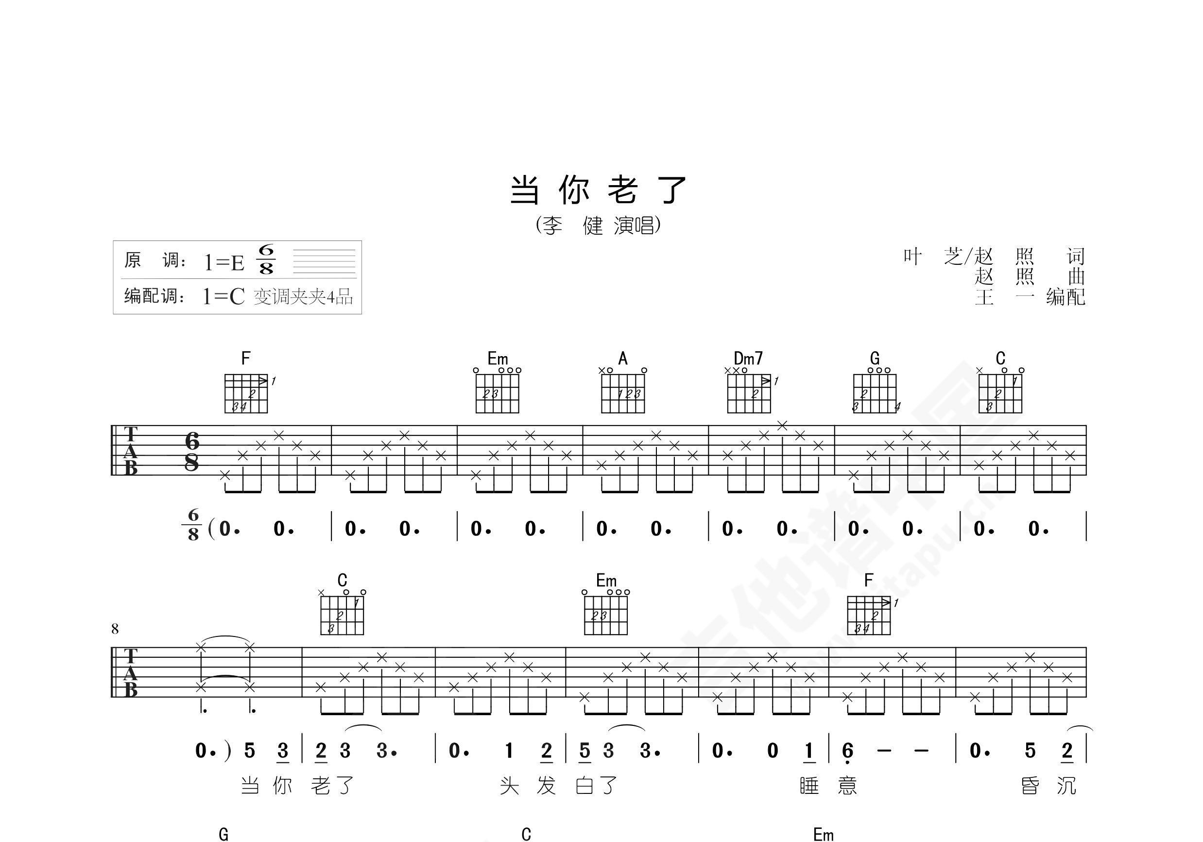 当你老了吉他谱-赵照-C调弹唱谱-中级版-吉他教学视频-琴艺谱
